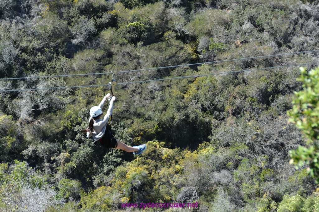 345: Carnival Imagination, Catalina, East End Adventure by Hummer, Zipline