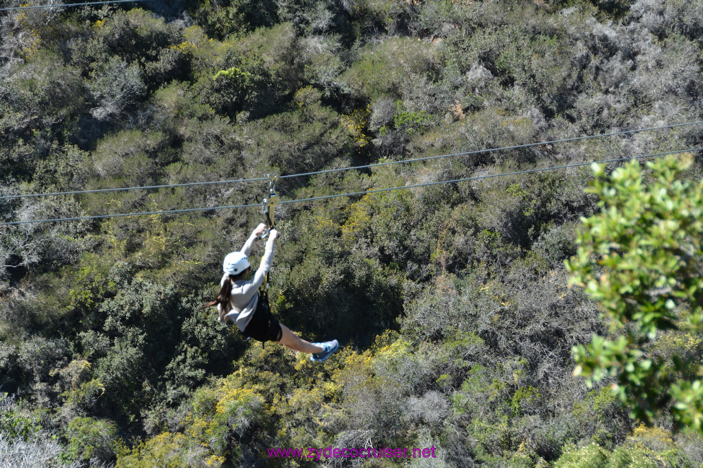 346: Carnival Imagination, Catalina, East End Adventure by Hummer, Zipline