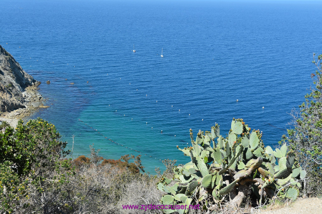 363: Carnival Imagination, Catalina, East End Adventure by Hummer, 