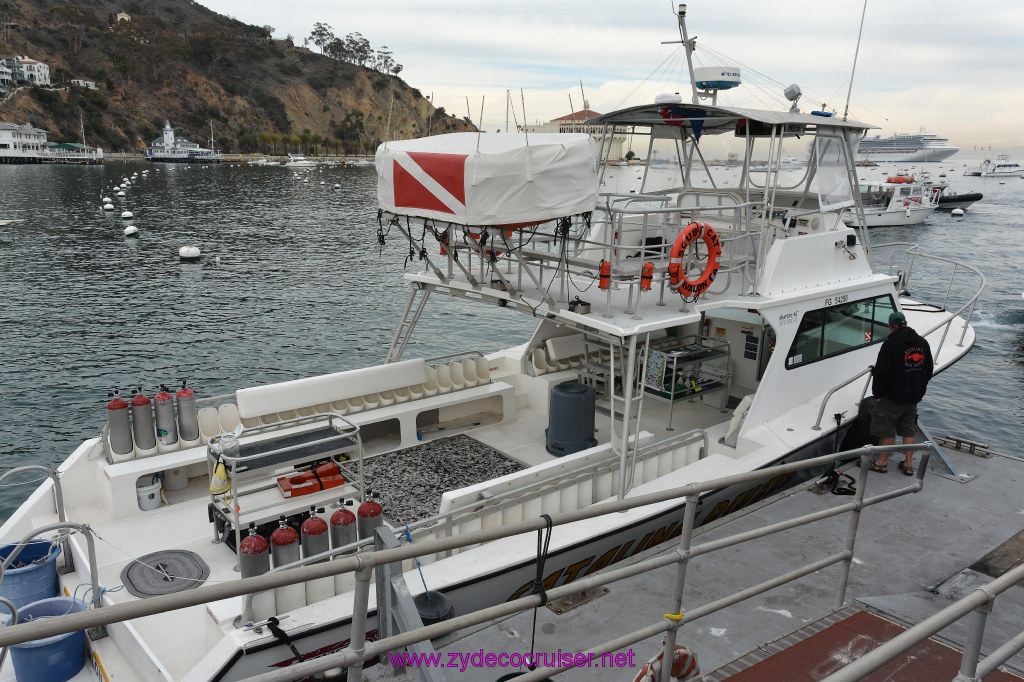 056: Carnival Inspiration, Catalina Island, Coastal Wild Dolphin Adventure, 