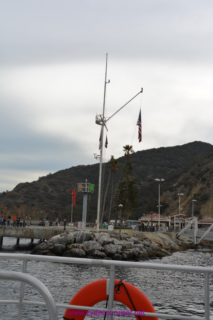 058: Carnival Inspiration, Catalina Island, Coastal Wild Dolphin Adventure, 