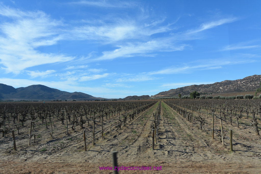 009: Carnival Inspiration 4 Day Cruise, Ensenada, Mexico, Wine Country Tour, 