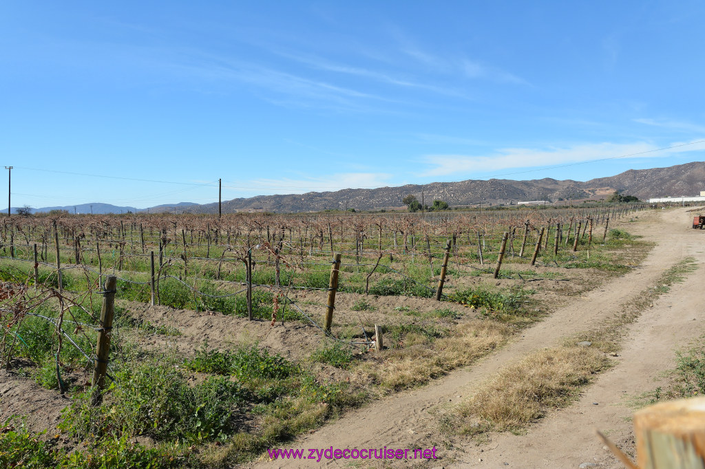 132: Carnival Inspiration 4 Day Cruise, Ensenada, Mexico, Wine Country Tour