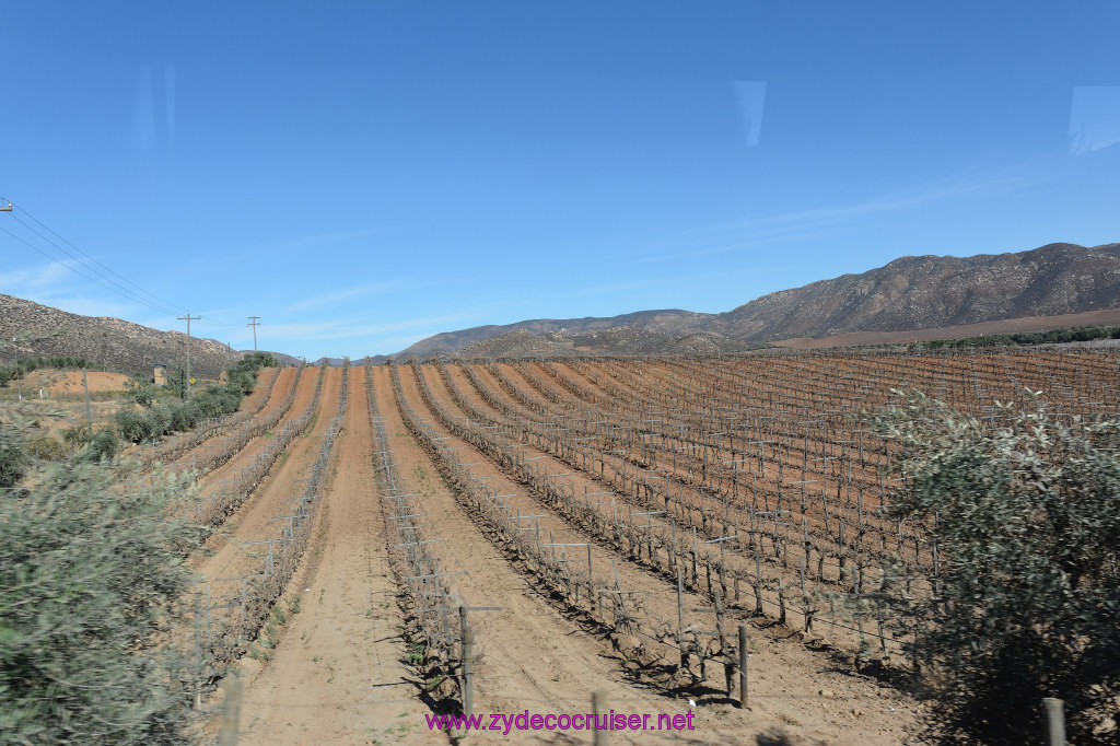 162: Carnival Inspiration 4 Day Cruise, Ensenada, Mexico, Wine Country Tour