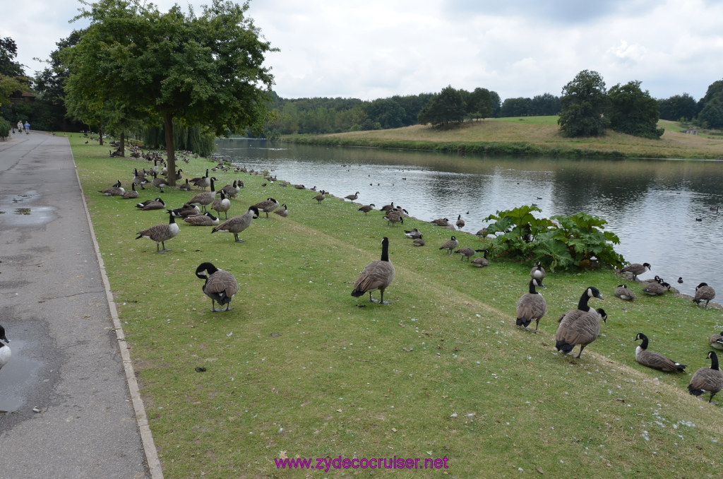 351: Dover, England, White Cliffs Geotours, Leeds Castle, 