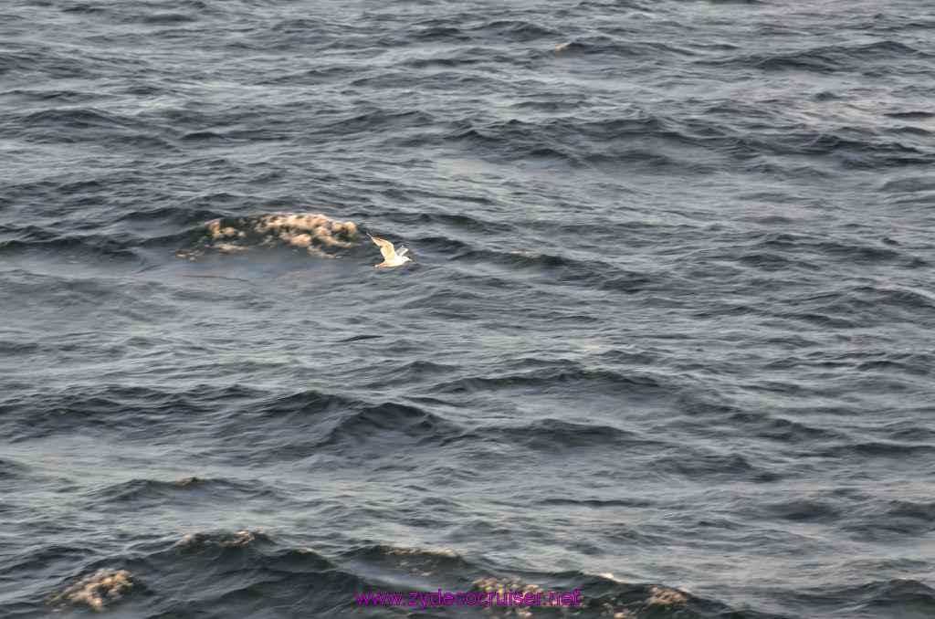 235: Carnival Legend cruise, Stavanger, Norway, 