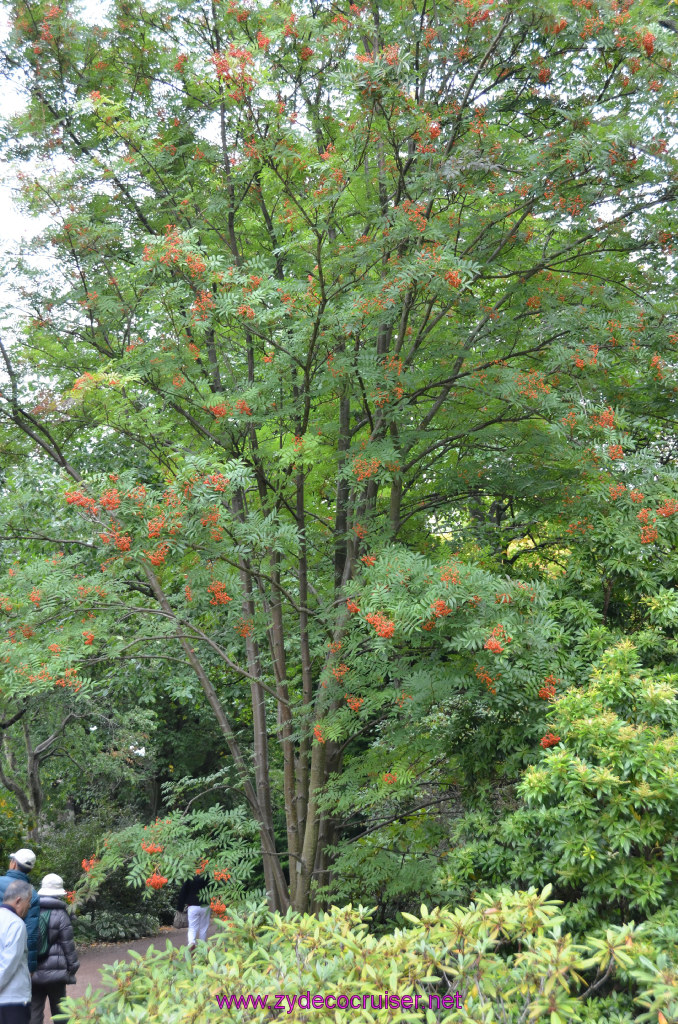 160: Carnival Legend British Isles Cruise, Edinburgh, Scotland, 