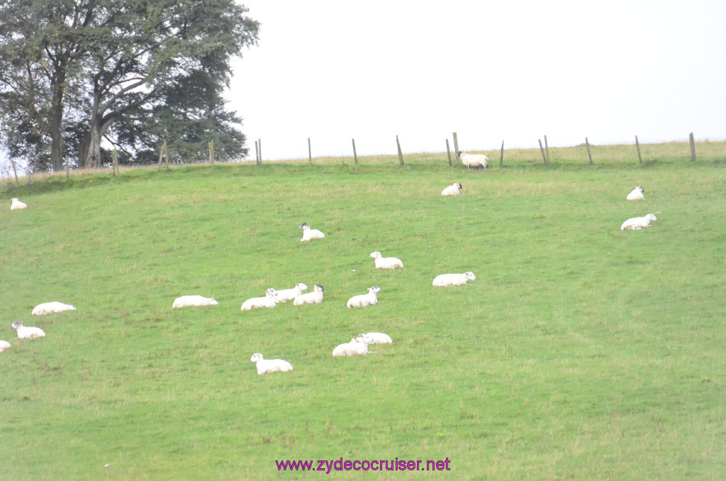 125: Carnival Legend, British Isles Cruise, Glasgow/Greenock,