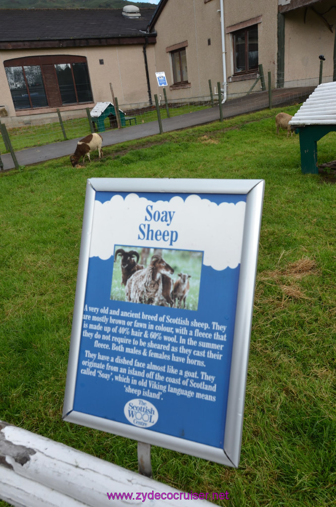 139: Carnival Legend, British Isles Cruise, Glasgow/Greenock, Aberfoyle, The Scottish Wool Centre, 