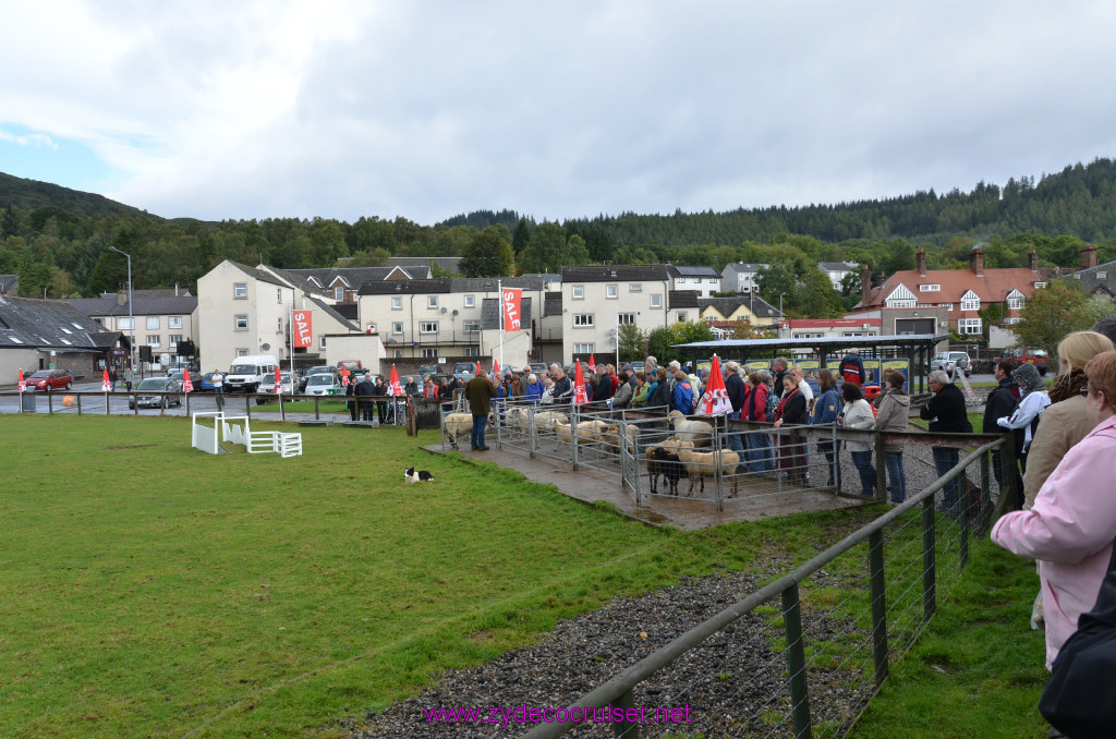 145: Carnival Legend, British Isles Cruise, Glasgow/Greenock, Aberfoyle, The Scottish Wool Centre, 