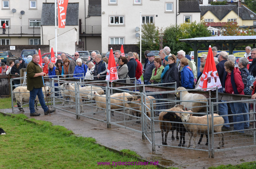 147: Carnival Legend, British Isles Cruise, Glasgow/Greenock, Aberfoyle, The Scottish Wool Centre, 