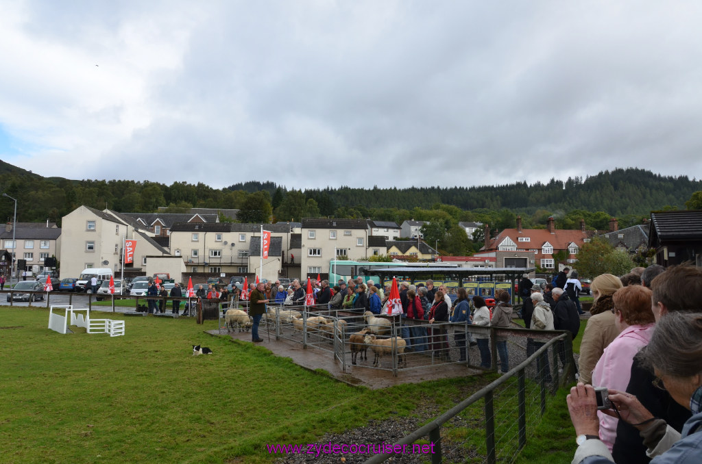 148: Carnival Legend, British Isles Cruise, Glasgow/Greenock, Aberfoyle, The Scottish Wool Centre, 