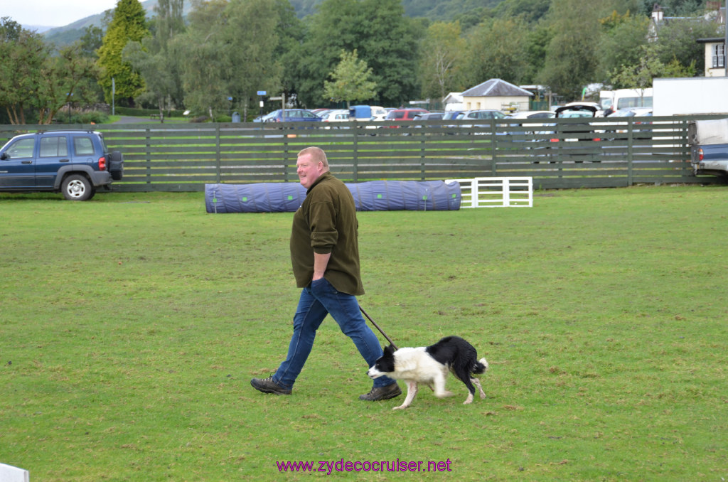 154: Carnival Legend, British Isles Cruise, Glasgow/Greenock, Aberfoyle, The Scottish Wool Centre, 