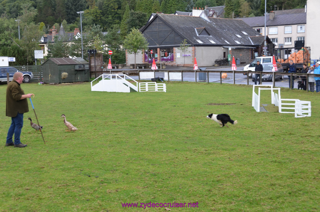 160: Carnival Legend, British Isles Cruise, Glasgow/Greenock, Aberfoyle, The Scottish Wool Centre, 