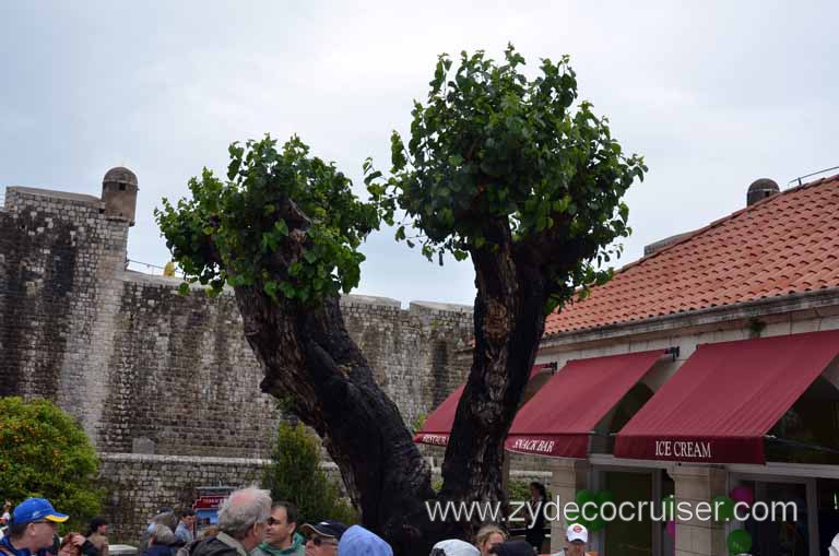 358: Carnival Magic, Inaugural Cruise, Dubrovnik, Old Town, 