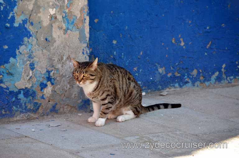 096: Carnival Magic, Venice, Italy - Murano, Burano, and Torcello Excursion