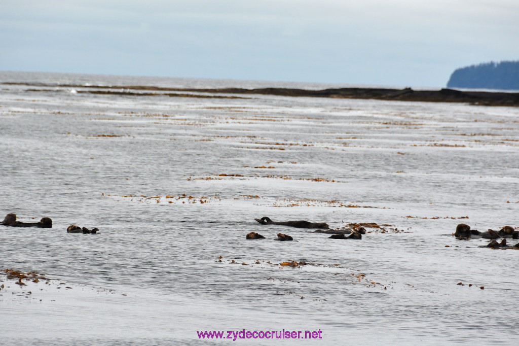 098: Carnival Miracle Alaska Cruise, Sitka, Jet Cat Wildlife Quest And Beach Exploration Excursion, 