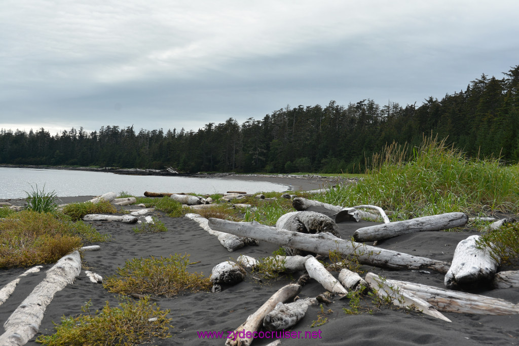 113: Carnival Miracle Alaska Cruise, Sitka, Jet Cat Wildlife Quest And Beach Exploration Excursion, 