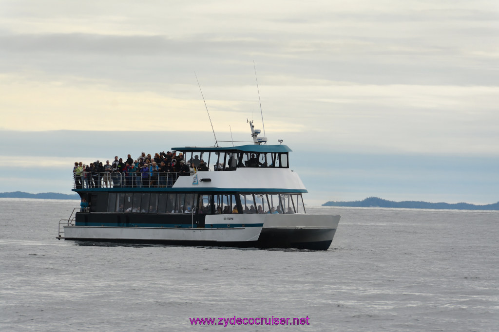 258: Carnival Miracle Alaska Cruise, Sitka, Jet Cat Wildlife Quest And Beach Exploration Excursion, 