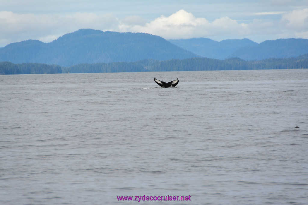 261: Carnival Miracle Alaska Cruise, Sitka, Jet Cat Wildlife Quest And Beach Exploration Excursion, 