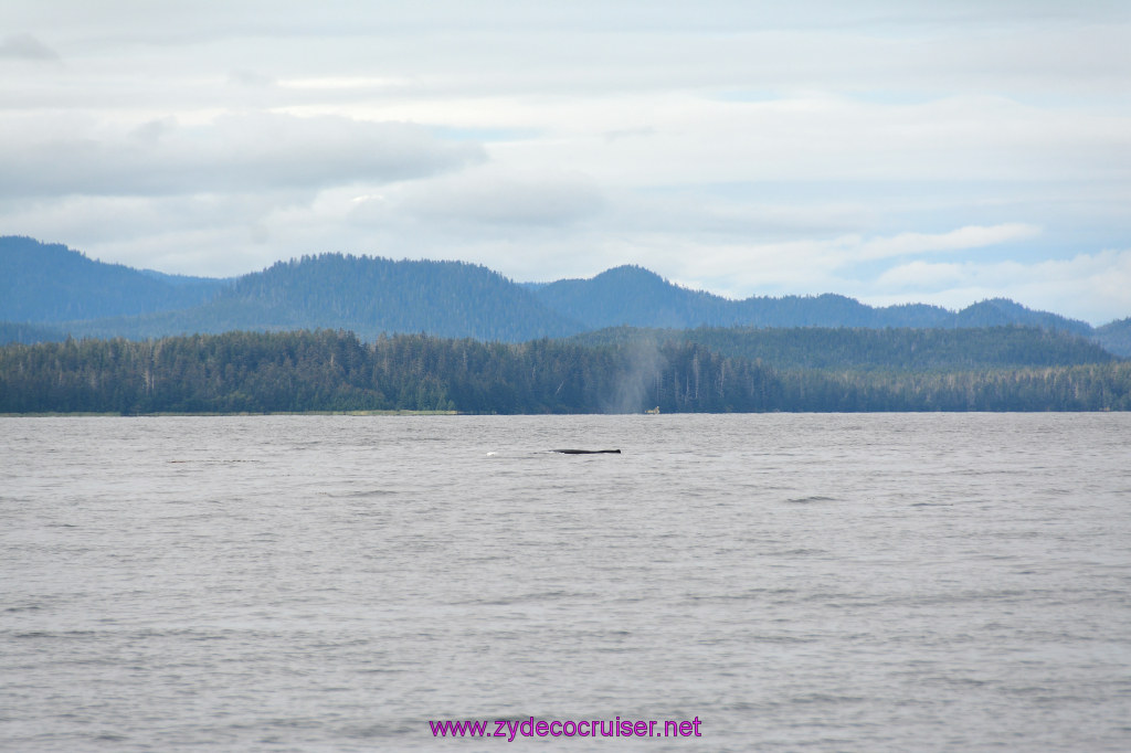 266: Carnival Miracle Alaska Cruise, Sitka, Jet Cat Wildlife Quest And Beach Exploration Excursion, 