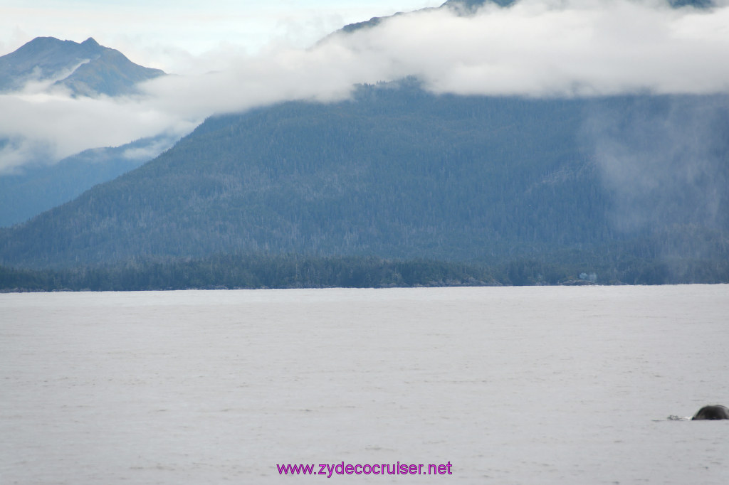 287: Carnival Miracle Alaska Cruise, Sitka, Jet Cat Wildlife Quest And Beach Exploration Excursion, 