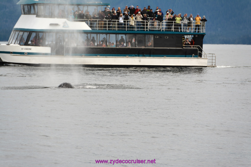 294: Carnival Miracle Alaska Cruise, Sitka, Jet Cat Wildlife Quest And Beach Exploration Excursion, 