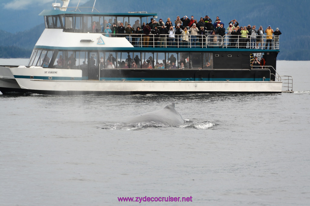 295: Carnival Miracle Alaska Cruise, Sitka, Jet Cat Wildlife Quest And Beach Exploration Excursion, 