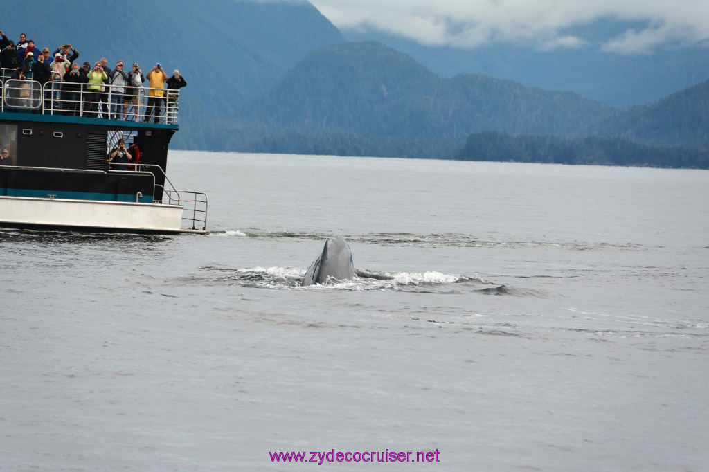 312: Carnival Miracle Alaska Cruise, Sitka, Jet Cat Wildlife Quest And Beach Exploration Excursion, 