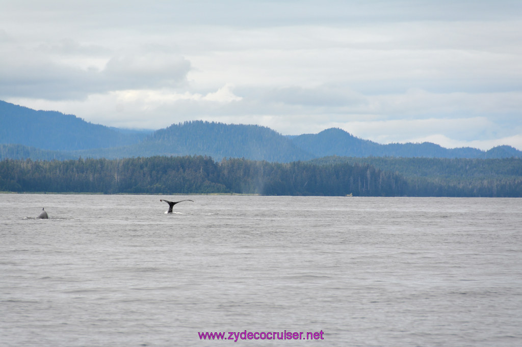 326: Carnival Miracle Alaska Cruise, Sitka, Jet Cat Wildlife Quest And Beach Exploration Excursion, 