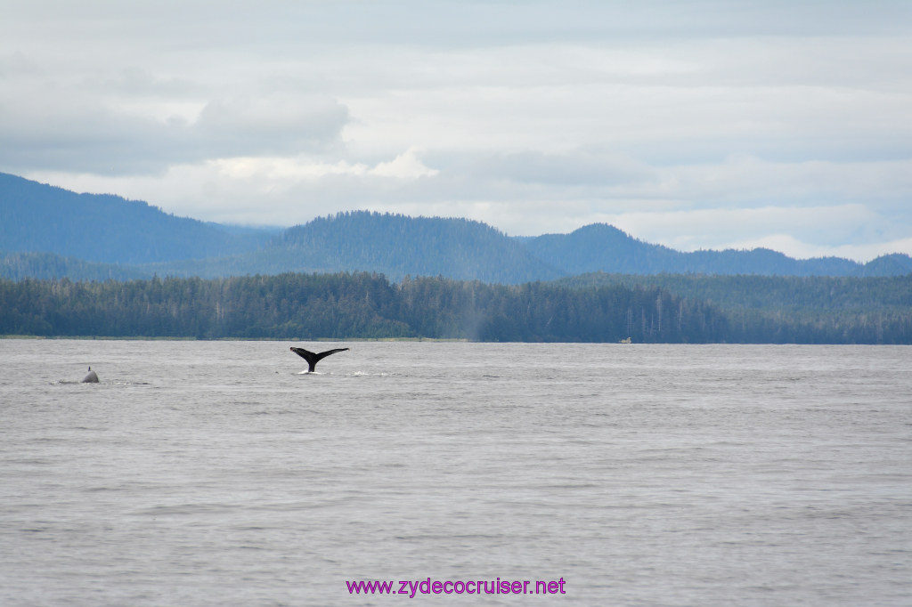 327: Carnival Miracle Alaska Cruise, Sitka, Jet Cat Wildlife Quest And Beach Exploration Excursion, 