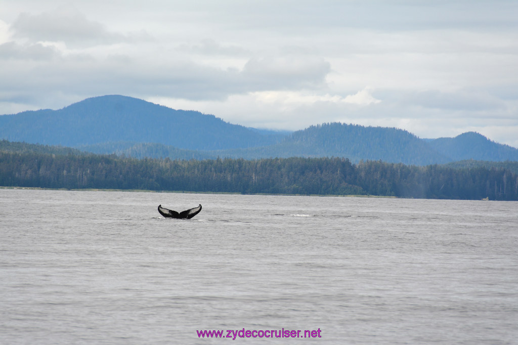 331: Carnival Miracle Alaska Cruise, Sitka, Jet Cat Wildlife Quest And Beach Exploration Excursion, 