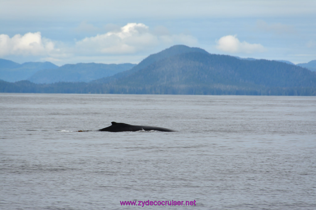 335: Carnival Miracle Alaska Cruise, Sitka, Jet Cat Wildlife Quest And Beach Exploration Excursion, 