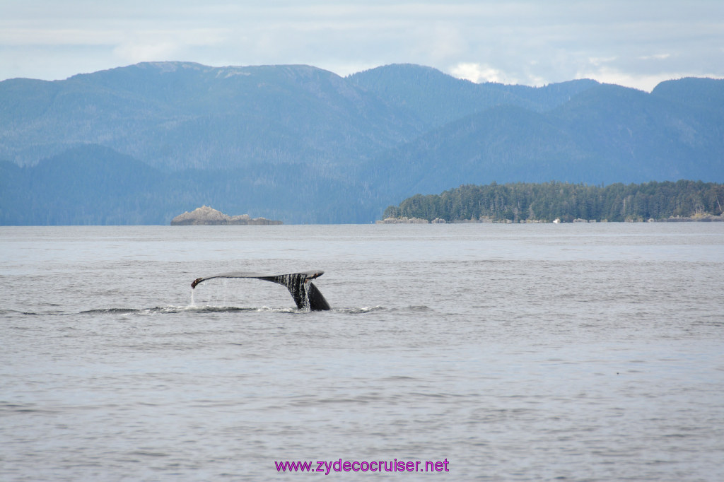 344: Carnival Miracle Alaska Cruise, Sitka, Jet Cat Wildlife Quest And Beach Exploration Excursion, 