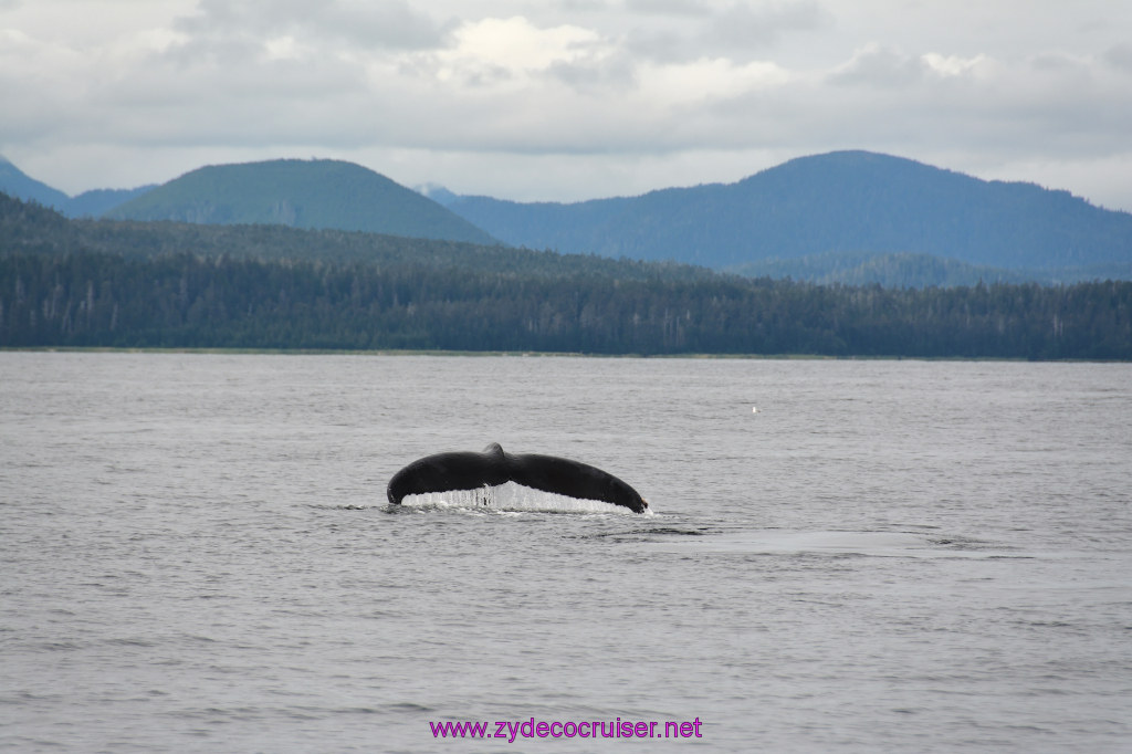 354: Carnival Miracle Alaska Cruise, Sitka, Jet Cat Wildlife Quest And Beach Exploration Excursion, 