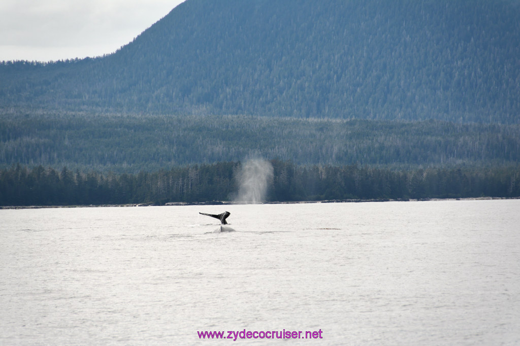 365: Carnival Miracle Alaska Cruise, Sitka, Jet Cat Wildlife Quest And Beach Exploration Excursion, 