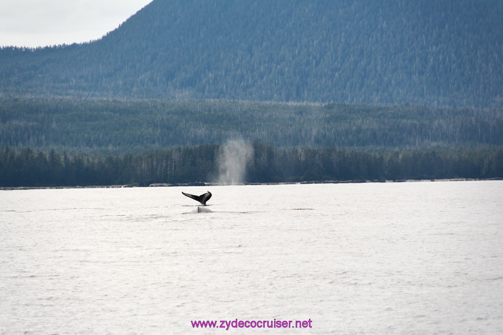 366: Carnival Miracle Alaska Cruise, Sitka, Jet Cat Wildlife Quest And Beach Exploration Excursion, 