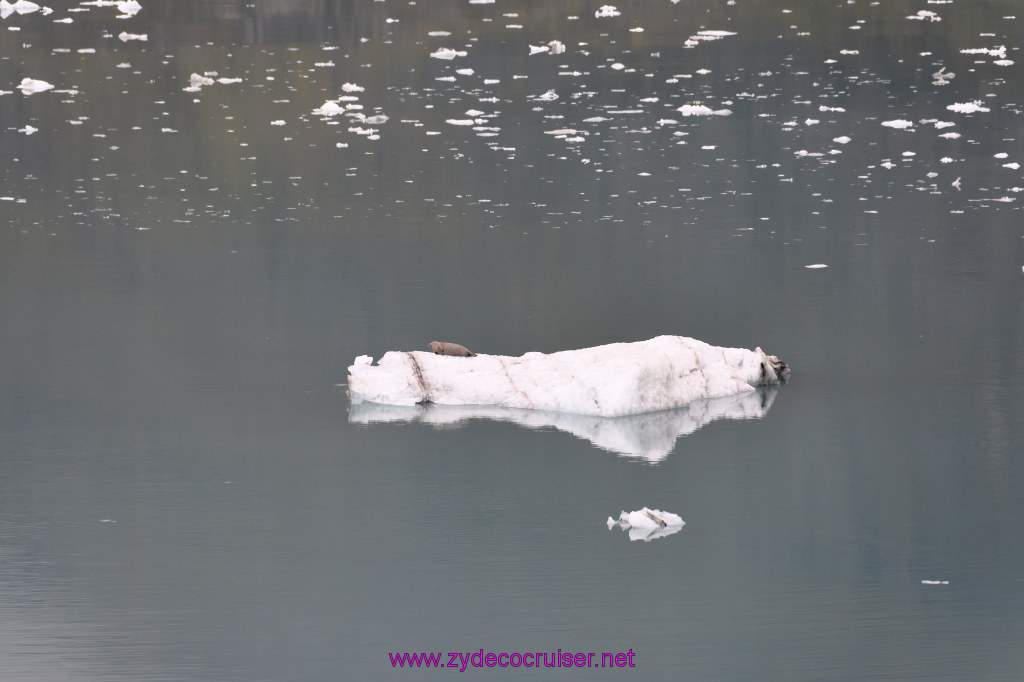 096: Carnival Miracle Alaska Cruise, Glacier Bay, 