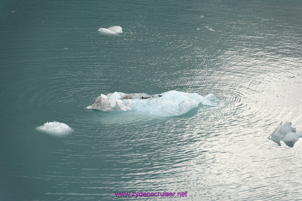 120: Carnival Miracle Alaska Cruise, Glacier Bay, 