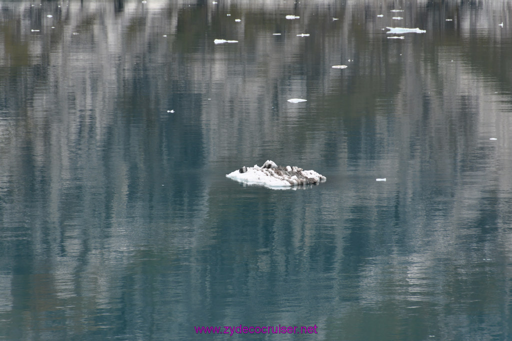 214: Carnival Miracle Alaska Cruise, Glacier Bay, 