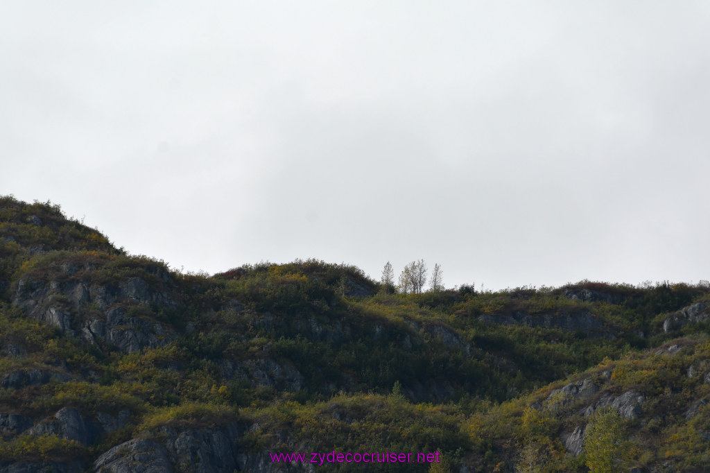 250: Carnival Miracle Alaska Cruise, Glacier Bay, 