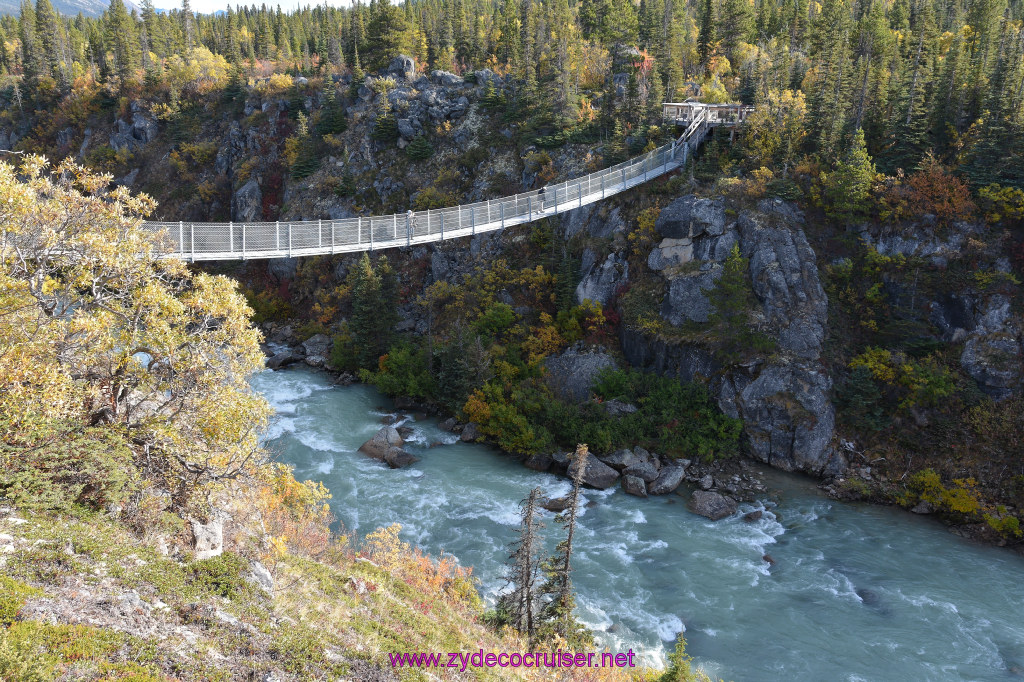 094: Carnival Miracle Alaska Cruise, Skagway, Klondike Summit, Suspension Bride, and Salmon Bake