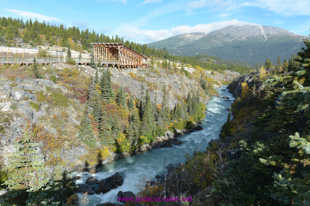 120: Carnival Miracle Alaska Cruise, Skagway, Klondike Summit, Suspension Bride, and Salmon Bake