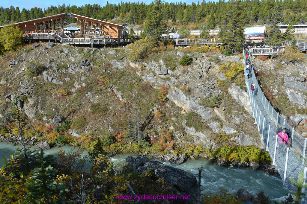 126: Carnival Miracle Alaska Cruise, Skagway, Klondike Summit, Suspension Bride, and Salmon Bake