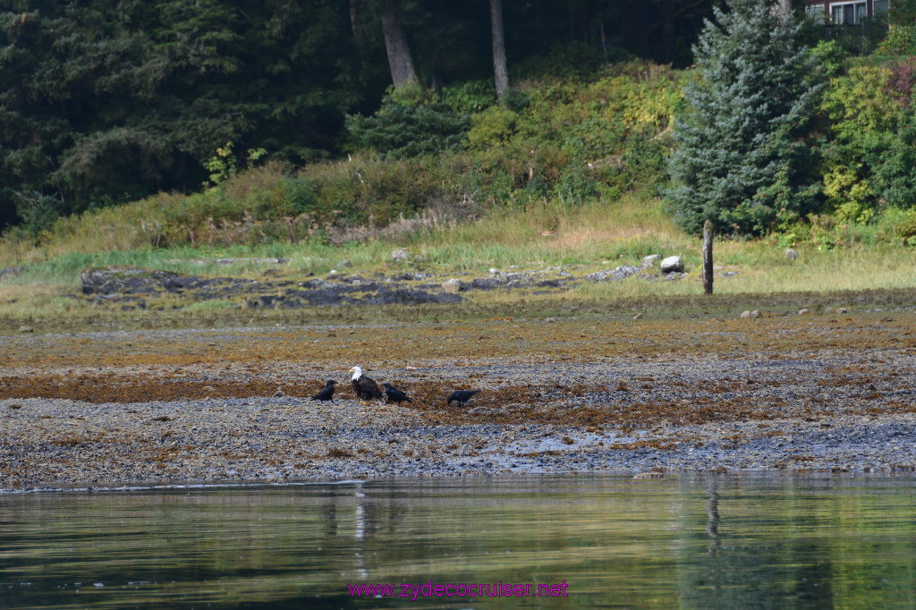 073: Carnival Miracle Alaska Cruise, Juneau, 