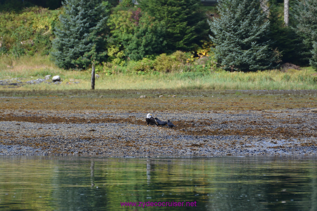 074: Carnival Miracle Alaska Cruise, Juneau, 