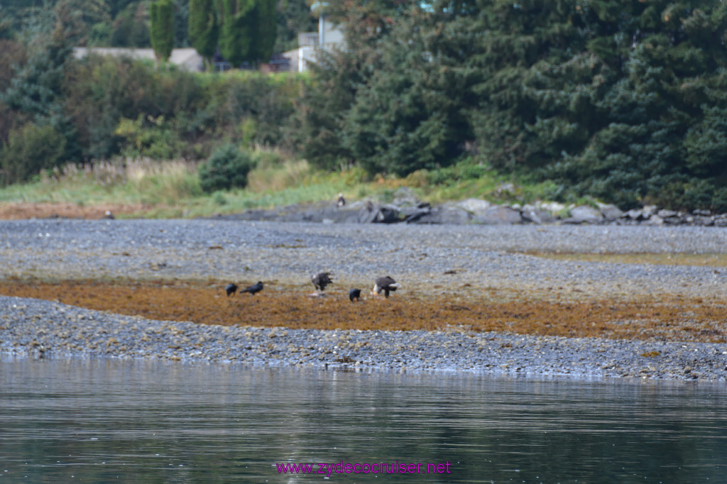 076: Carnival Miracle Alaska Cruise, Juneau, 