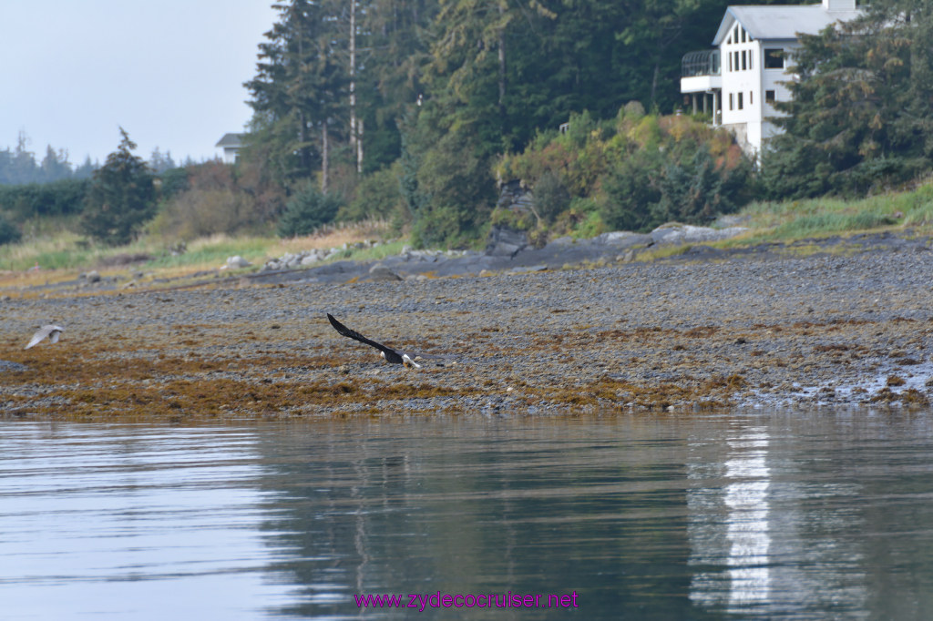 078: Carnival Miracle Alaska Cruise, Juneau, 