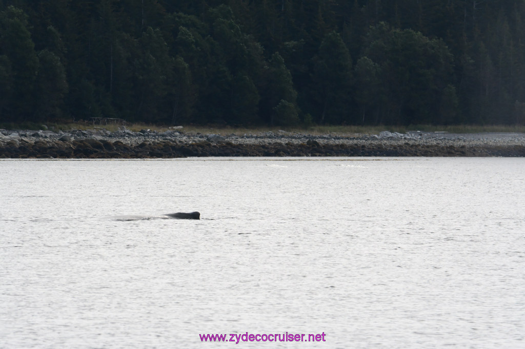 092: Carnival Miracle Alaska Cruise, Juneau, 