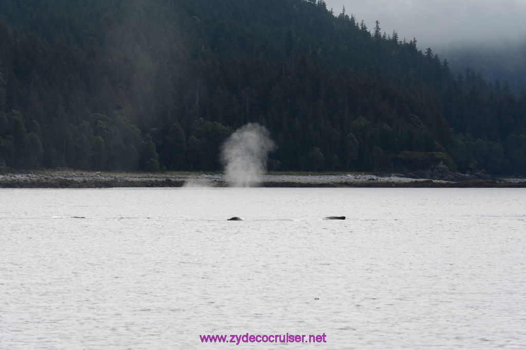 095: Carnival Miracle Alaska Cruise, Juneau, 